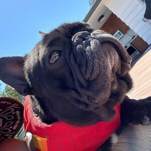 Meet your Posher, Lindsay